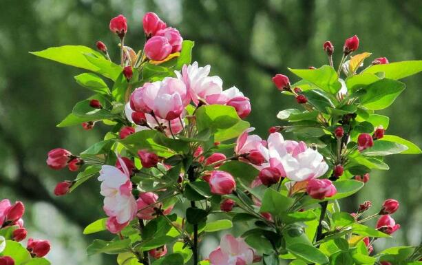 400公斤空氣壓縮機