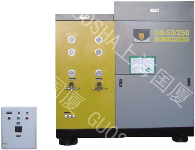 GS-200天然氣壓縮機(jī) 200m3/h